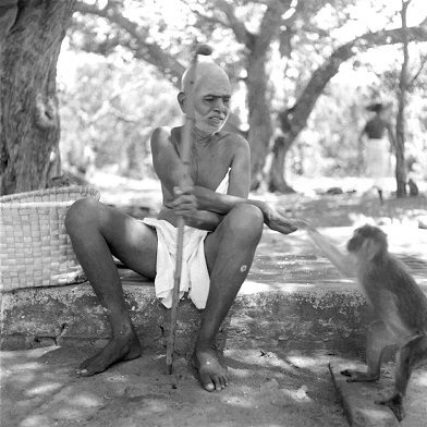 Ramana Maharshi with monkey